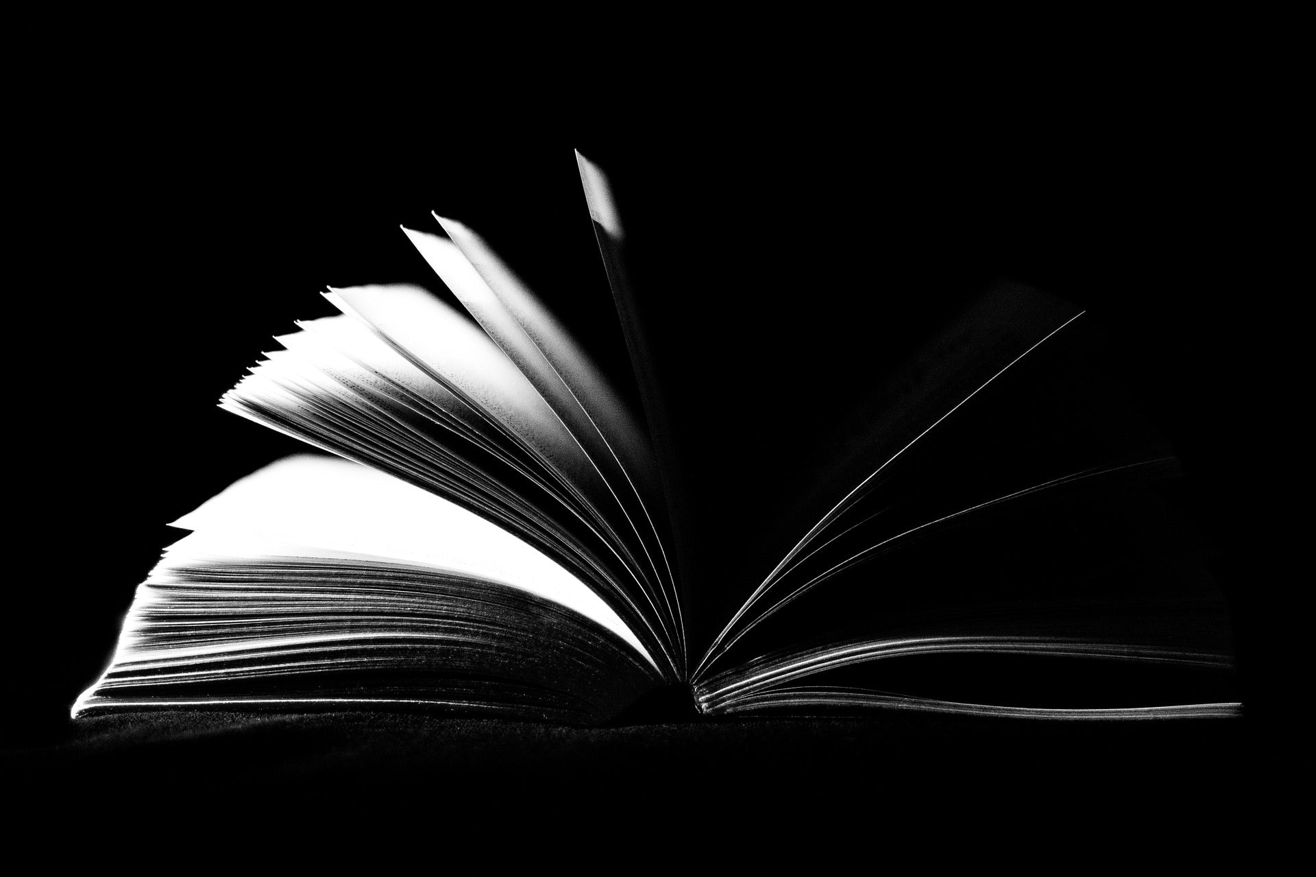 a black and white image of an open book with pages in motion